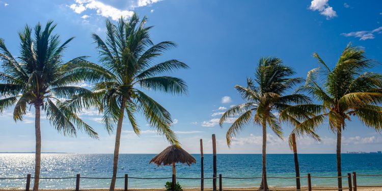 IMPULSA GOBIERNO DE BJ PROTECCIÓN DE LA NATURALEZA