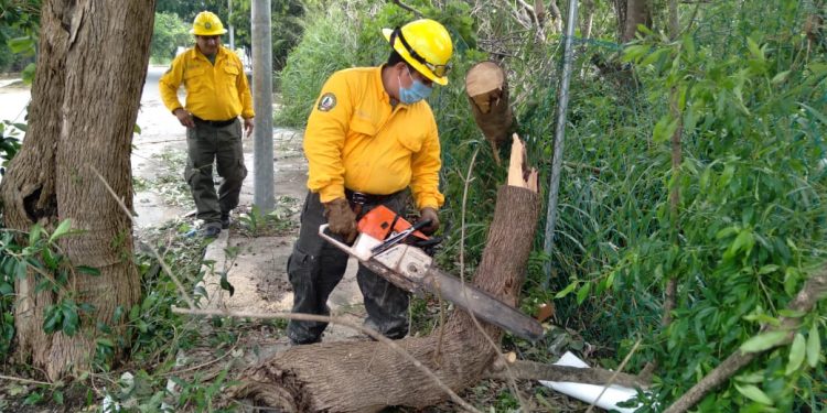 CON ORDEN SE RECUPERA SOLIDARIDAD TRAS EL PASO DE LA TORMENTA “GAMMA”