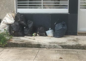AYUNTAMIENTO DE BJ SE HARÁ CARGO DE LA RECOLECTA DE BASURA EN CANCÚN POR TIEMPO INDEFINIDO