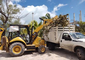 RECUPERAN DOS PLAYAS DE LAS CUATRO AFECTADAS POR “DELTA” EN CANCÚN