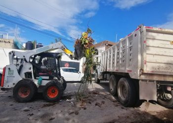 BRIGADAS CONTINÚAN REHABILITACIÓN DE SOLIDARIDAD TRAS PASO DE CICLONES