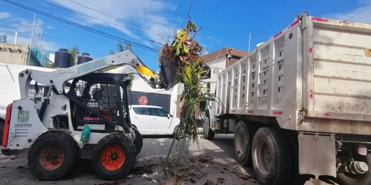 BRIGADAS CONTINÚAN REHABILITACIÓN DE SOLIDARIDAD TRAS PASO DE CICLONES