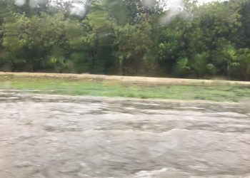 IMPACTA “GAMMA” A CANCÚN, ESTRAGOS EN LAS CALLES