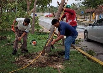 REFORESTACIÓN Y LIMPIEZA; PONE EN MARCHA LAURA BERISTAIN DOS PROGRAMAS TRAS PASO DE HURACANES