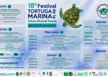 DAN A CONOCER EL PROGRAMA DEL XVII FESTIVAL DE LA TORTUGA MARINA EN TULUM