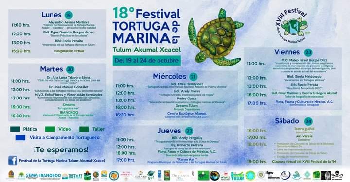 DAN A CONOCER EL PROGRAMA DEL XVII FESTIVAL DE LA TORTUGA MARINA EN TULUM