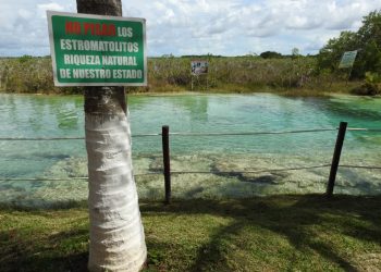 EMPRESARIOS UNEN FUERZAS PARA PROTECCIÓN DE RIQUEZA NATURAL