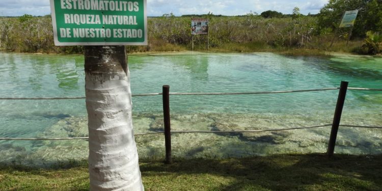 EMPRESARIOS UNEN FUERZAS PARA PROTECCIÓN DE RIQUEZA NATURAL