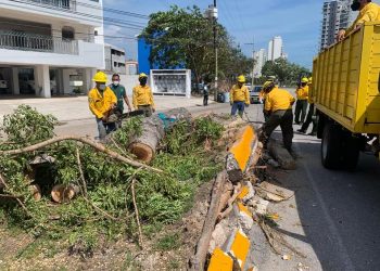 DESPEJAN VIALIDADES EN CANCÚN