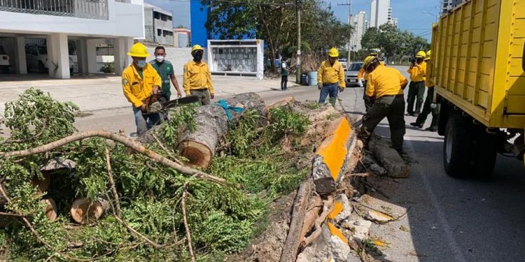 DESPEJAN VIALIDADES EN CANCÚN