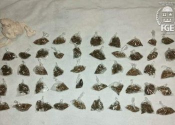 CATEO ARROJA DETENIDOS, DROGA Y ANIMALES