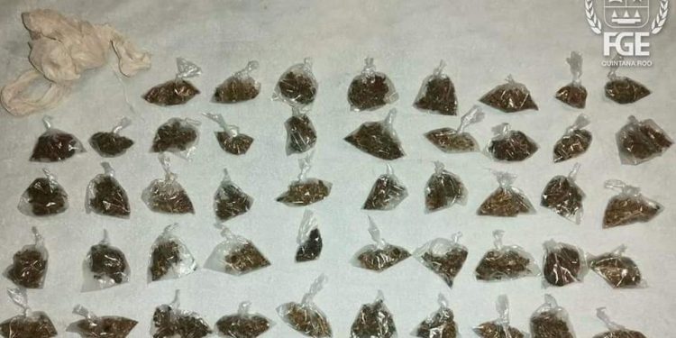 CATEO ARROJA DETENIDOS, DROGA Y ANIMALES