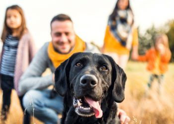 DUEÑOS QUIEREN ‘PONERLE SUS APELLIDOS’ A SUS MASCOTAS