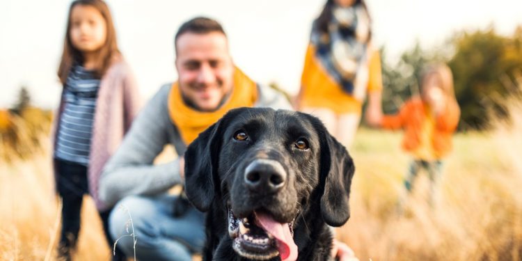 DUEÑOS QUIEREN ‘PONERLE SUS APELLIDOS’ A SUS MASCOTAS