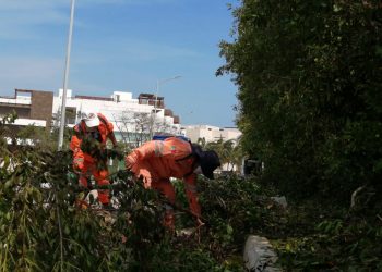 INTENSA JORNADA DE LIMPIEZA EN SOLIDARIDAD TRAS EL PASO DE “DELTA”