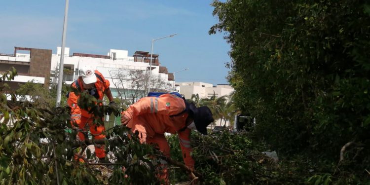 INTENSA JORNADA DE LIMPIEZA EN SOLIDARIDAD TRAS EL PASO DE “DELTA”