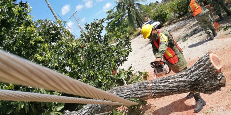 AVANZAN CON LA RECUPERACIÓN DE CANCÚN