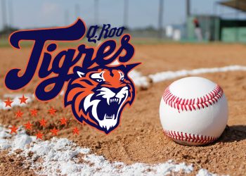 NO LES LLEGAN AL PRECIO A LOS TIGRES Y DECIDEN QUEDARSE UN AÑO MÁS EN QUINTANA ROO