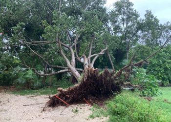 CIERRAN COBÁ POR AFECTACIONES EN CAMINOS Y SENDEROS
