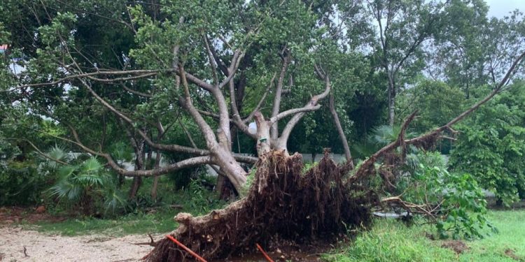 CIERRAN COBÁ POR AFECTACIONES EN CAMINOS Y SENDEROS
