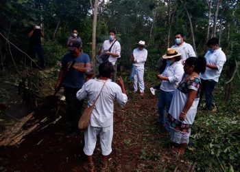 EL TREN MAYA PERMITIRÁ MEJORAR LAS CONDICIONES DE LOS PRODUCTORES DE PITAHAYA DE TIHOSUCO