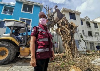 EXONERAN MAGISTRADOS ELECTORALES A MARA