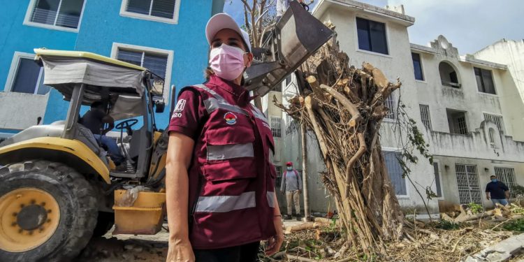 EXONERAN MAGISTRADOS ELECTORALES A MARA