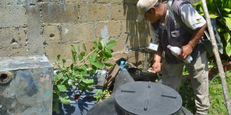 QUINTANA ROO ENTRE LOS SIETE ESTADOS DEL PAÍS CON MÁS CASOS DE DENGUE