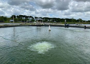 QUINTANA ROO PRESERVA RECURSOS NATURALES CON EQUILIBRIO TERRITORIAL