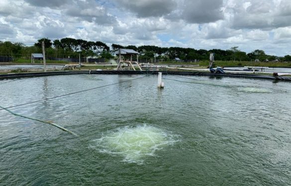 QUINTANA ROO PRESERVA RECURSOS NATURALES CON EQUILIBRIO TERRITORIAL