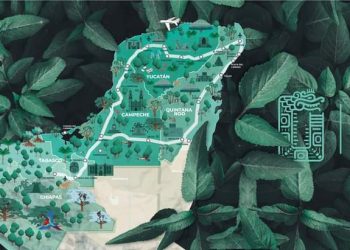 EN NOVIEMBRE SE DARÁN LAS PRIMERAS LICITACIONES DE LOS TRAMOS DEL TREN MAYA EN QROO