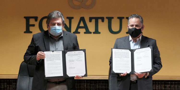 UIF Y FONATUR COLABORAN PARA DETECTAR RIESGOS EN LICITACIONES DEL TREN MAYA
