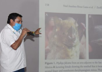 LA FPMC DIO A CONOCER EL HALLAZGO DE UN MURCIÉLAGO NUNCA ANTES VISTO EN MÉXICO