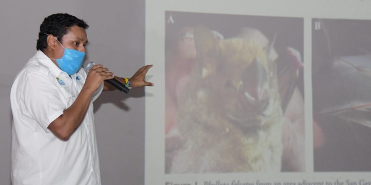 LA FPMC DIO A CONOCER EL HALLAZGO DE UN MURCIÉLAGO NUNCA ANTES VISTO EN MÉXICO