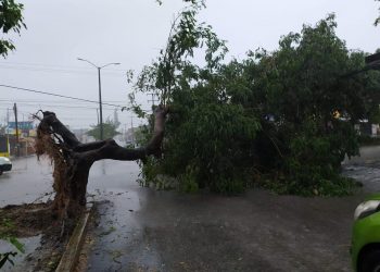 LA CFE ESTÁ PREPARADA PARA ATENDER LAS POSIBLES AFECTACIONES POR LA TORMENTA TROPICAL GAMMA, EN LA PENÍNSULA DE YUCATÁN