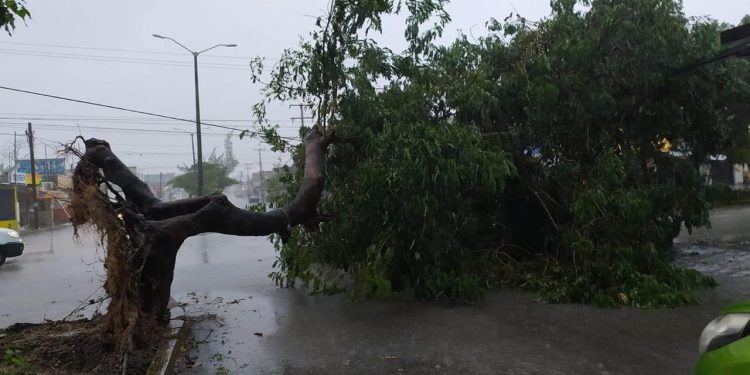 LA CFE ESTÁ PREPARADA PARA ATENDER LAS POSIBLES AFECTACIONES POR LA TORMENTA TROPICAL GAMMA, EN LA PENÍNSULA DE YUCATÁN