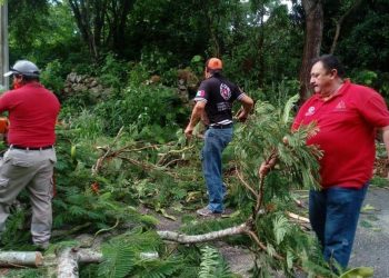 DAÑOS EN ZONA MAYA POR «GAMMA» Y A CHAK MEEX LE VALE