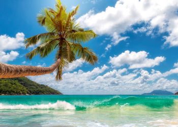 DESAPARECEN PLAYAS PRIVADAS, AMLO PUBLICA DECRETO PARA LIBRE TRÁNSITO