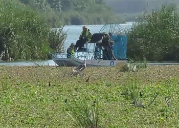 EMBARCACIONES SARGACERAS SERÁN UTILIZADAS PARA RETIRAR LA LECHUGUILLA ACUÁTICA