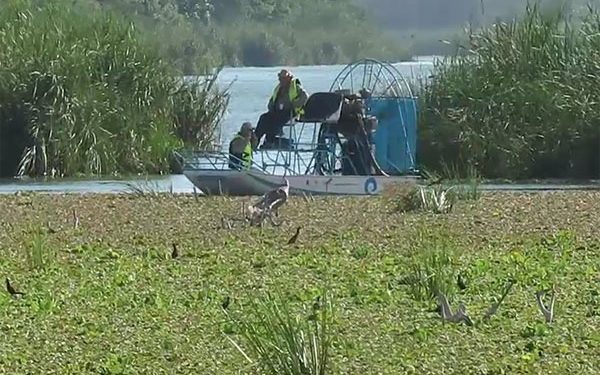 EMBARCACIONES SARGACERAS SERÁN UTILIZADAS PARA RETIRAR LA LECHUGUILLA ACUÁTICA