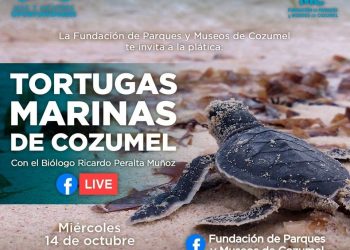 LA FPMC REALIZARÁ PLÁTICA VIRTUAL SOBRE TORTUGAS MARINAS