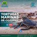 LA FPMC REALIZARÁ PLÁTICA VIRTUAL SOBRE TORTUGAS MARINAS