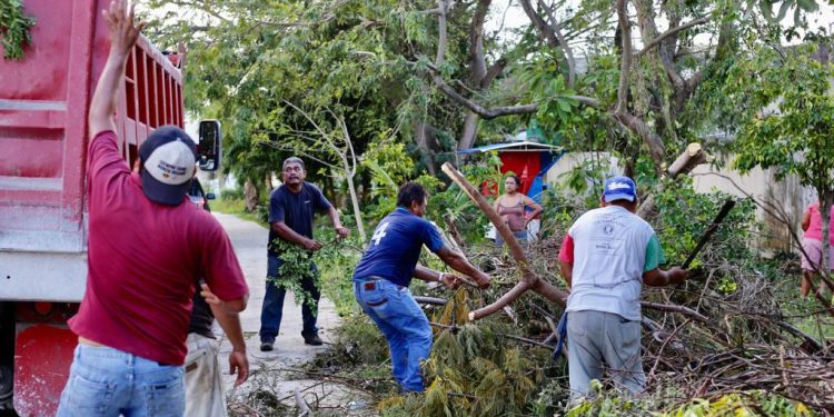 RECOLECTAN VOLQUETEROS DE LA CROC 500 TONELADAS DE ÁRBOLES Y RAMAS