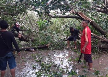 ABREN CAMINO AL ÁREA NATURAL PROTEGIDA SISTEMA LAGUNAR CHACMOCHUCH