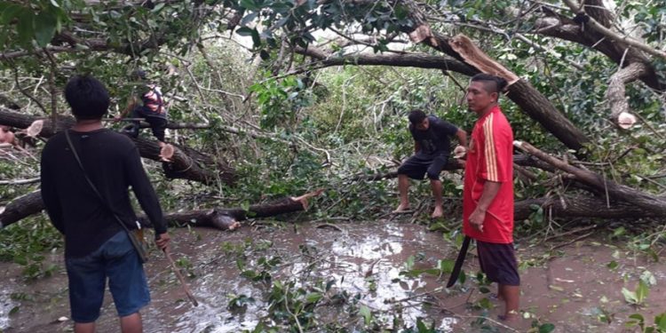 ABREN CAMINO AL ÁREA NATURAL PROTEGIDA SISTEMA LAGUNAR CHACMOCHUCH