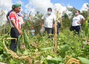 LA SEDARPE TRABAJA PARA REACTIVAR LA ECONOMÍA EN EL CAMPO QUINTANARROENSE