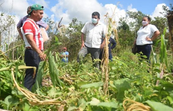 LA SEDARPE TRABAJA PARA REACTIVAR LA ECONOMÍA EN EL CAMPO QUINTANARROENSE