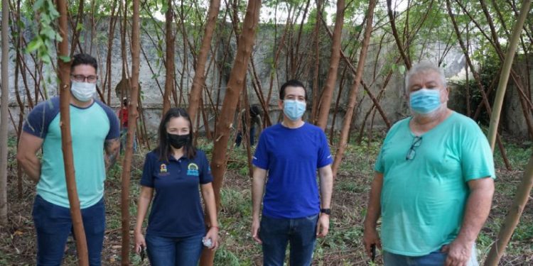 JÓVENES SE UNEN PARA RECUPERAR EL TEATRO MANUEL ÁVILA CAMACHO