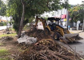 PIDEN AUDITORÍAS PARA EMPRESA RESPONSABLE DE LA RECOLECTA DE LA BASURA EN CANCÚN