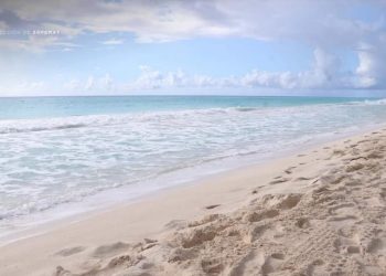 CANCÚN ESTÁ DE PIE Y GANANDO RECONOCIMIENTOS